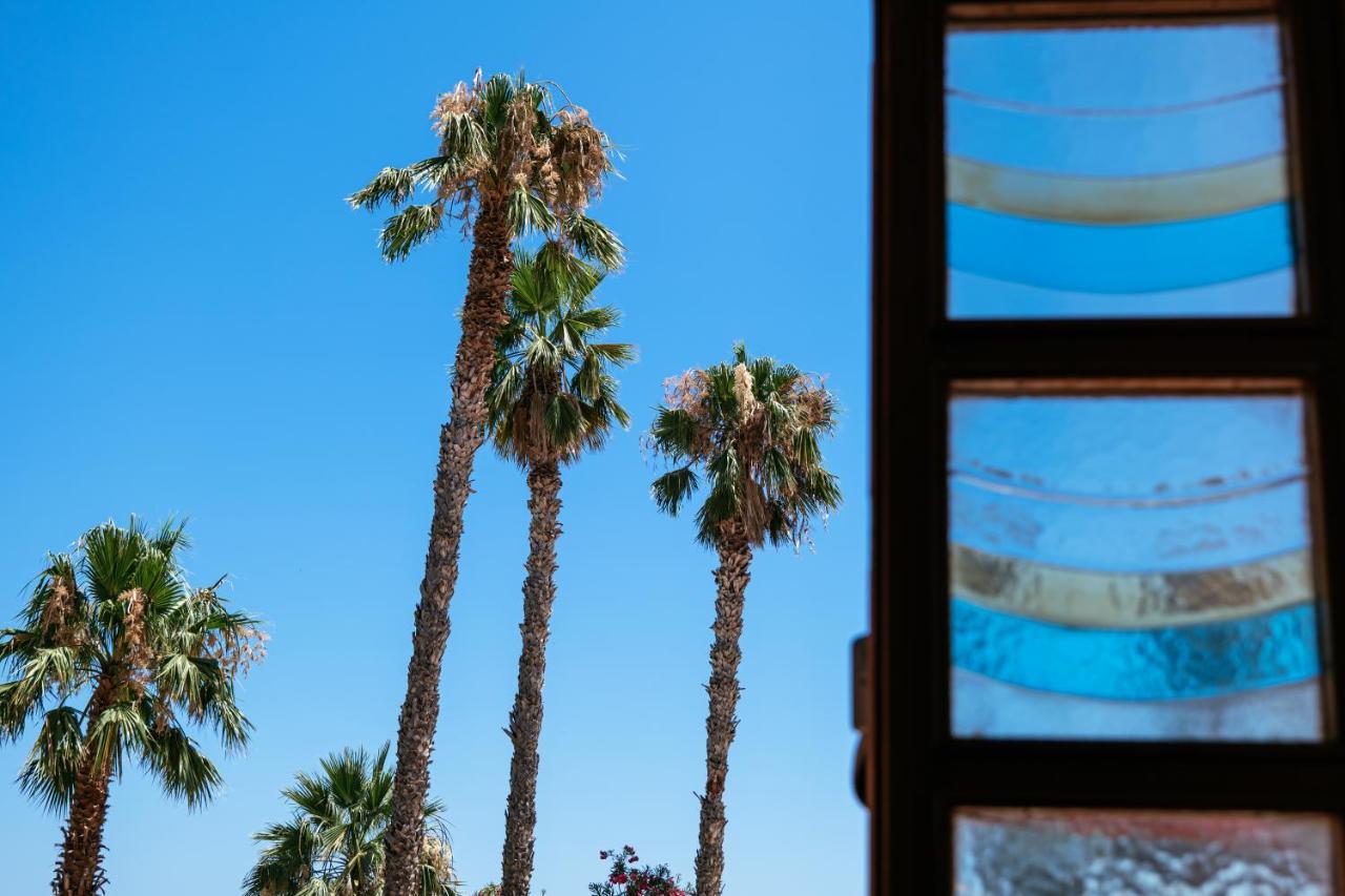 Palm Club Hotel